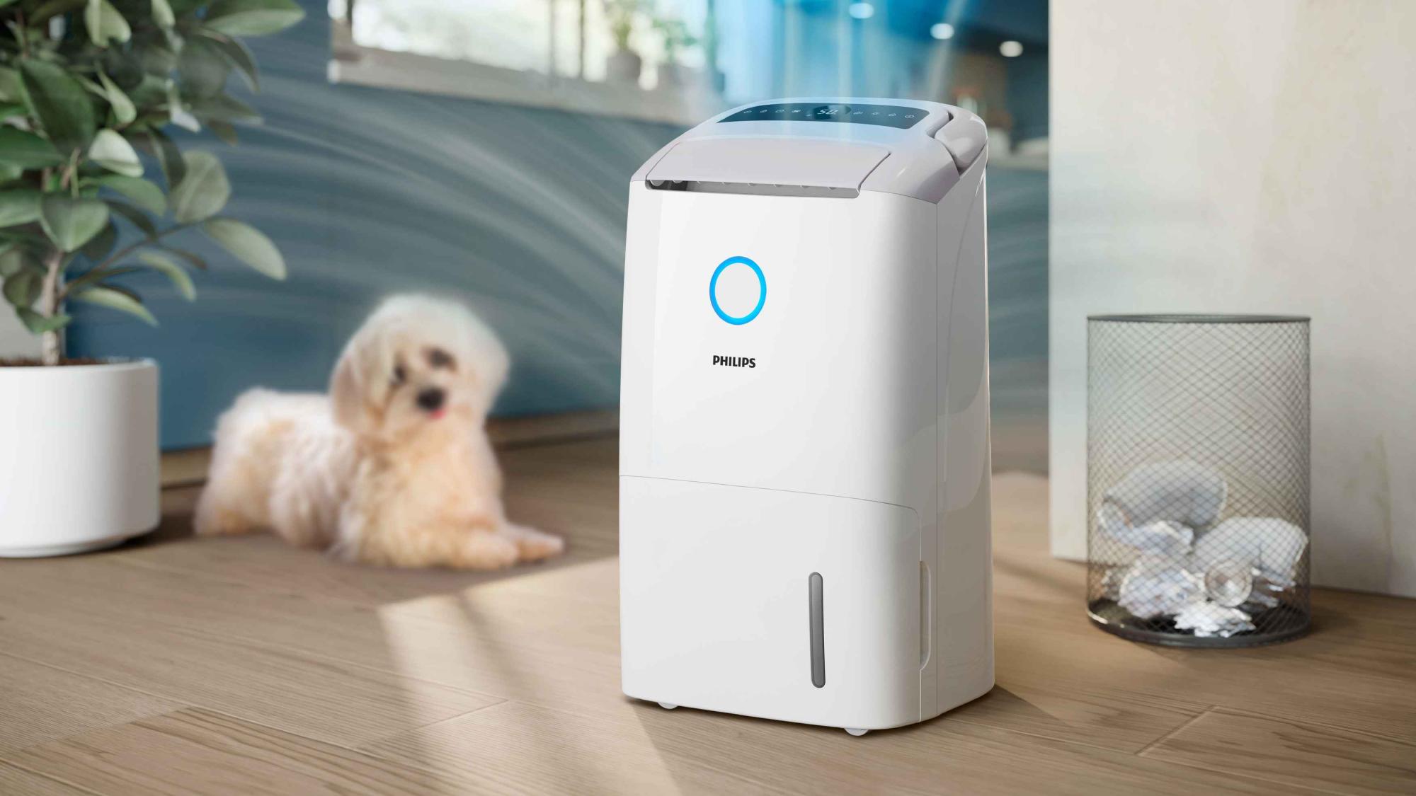 Balts Philips gaisa sausinātājs gaišā viesistabā ar mīlīgu sunīti. Aprīkots ar Philips logotipu, digitālo displeju, ērtu ūdens noņemšanu un izcilu dizainu.