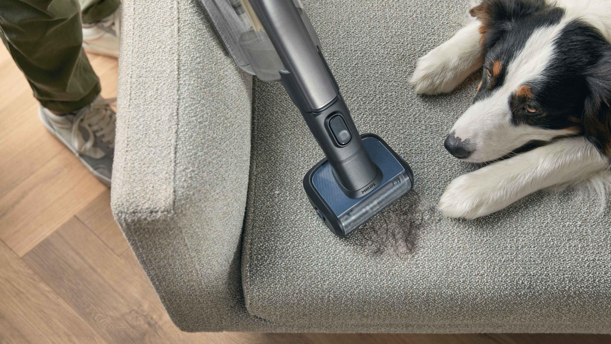 Philips Vac & Wash: Bezvadu putekļsūcējs mājdzīvnieku spalvu tīrīšanai, atrodoties dīvānā. Inovatīvs dizains nodrošina ērtības un tīrību mājās; suņu snaudas tuvumā.