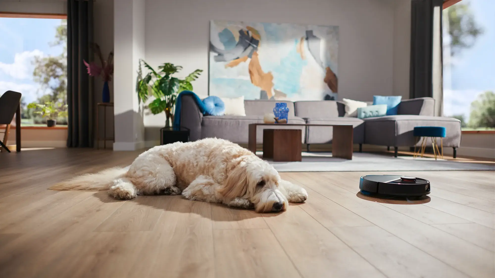 Philips putekļu sūcējs robots: Suns atpūšas, kamēr robotizētais putekļsūcējs bez piepūles tīra cietkoksni. Izcils dizains mājdzīvniekiem draudzīgai tīrīšanas pieredzei.