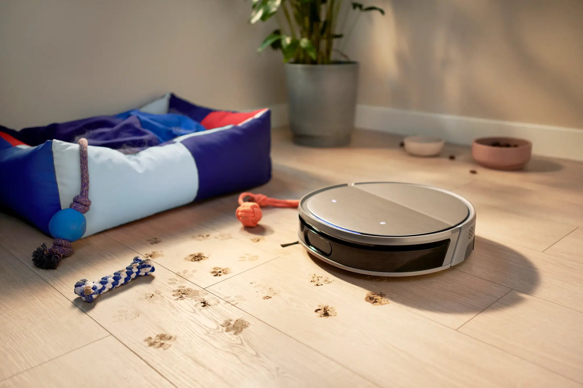 Philips putekļu sūcējs robots: kas ir daļa no grīdas kopšanas līdzekļu līnijas, meistarīgi noņem mājdzīvnieku ķepu nospiedumus no gaišas koka grīdas. Izbaudiet nepārspējamu tīrīšanas sniegumu ar šo augstākās klases Philips produktu.